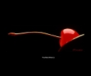 the-red-cherry